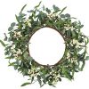 CEWOR Artificial Eucalyptus Wreath 20inch Large Green Leaf Wreath for Festival Celebration Front Door Wall Window Party Decoration
